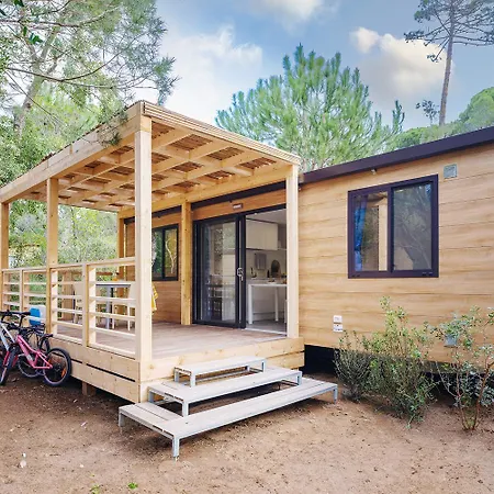 Puntala Camp &