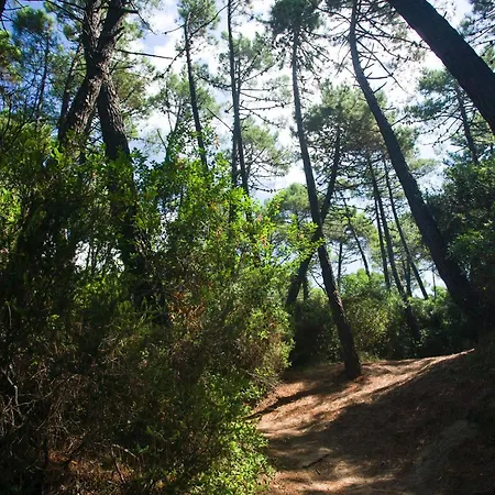 Puntala Camp & 4*