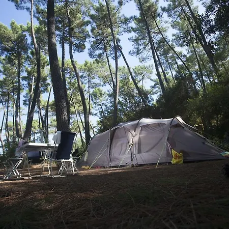 Puntala Camp & Campeggio