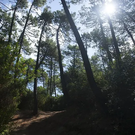 Puntala Camp & 4*