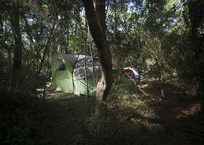 Puntala Camp & Udine