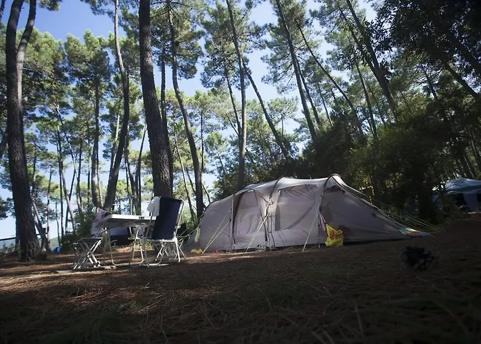 Puntala Camp & Kamp alanı