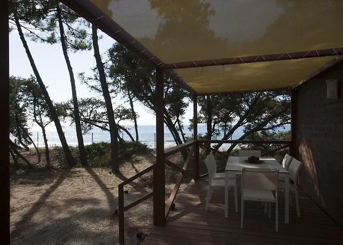 Kamp alanı Puntala Camp &