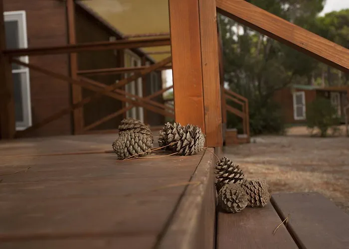 Puntala Camp & Kamp alanı Udine