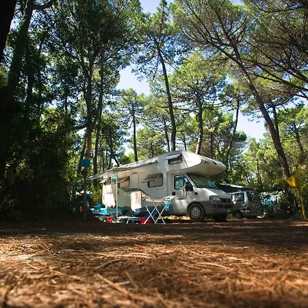 Puntala Camp & 4* Punta Ala