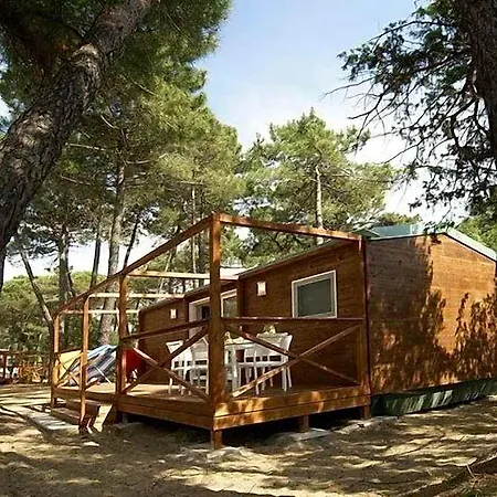 Puntala Camp &