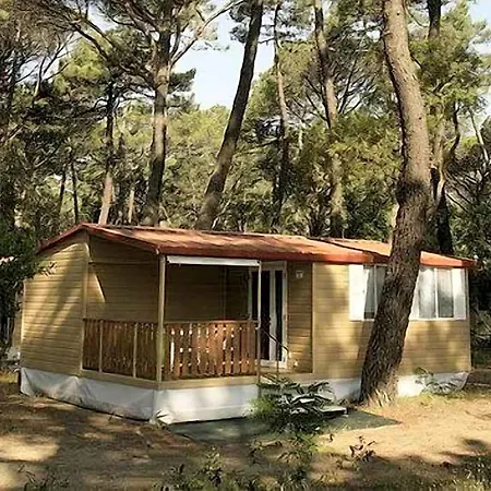 Puntala Camp &