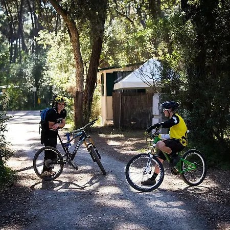 Puntala Camp & 4*