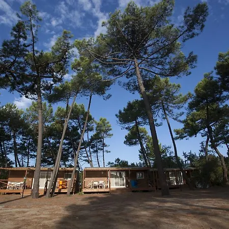 Puntala Camp & Punta Ala
