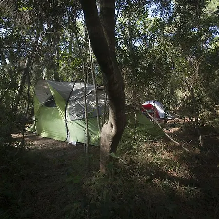 Puntala Camp & Punta Ala