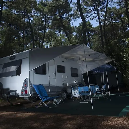 Puntala Camp &